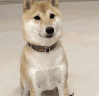 當(dāng)你說“避孕套不都一個樣”的時候…(圖15) 當(dāng)你說“避孕套不都一個樣”的時候…(圖15)