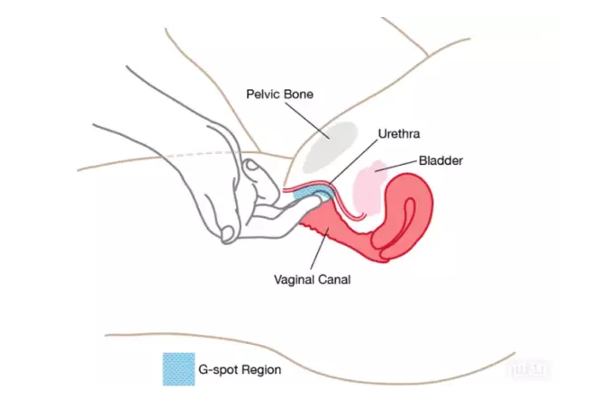怎么撩她G點(diǎn)，安全又健康(圖1)