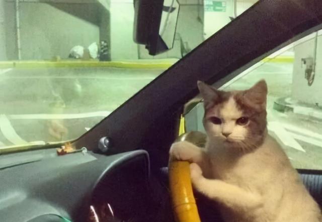 年輕人，別把無痛人流當避孕(圖2)