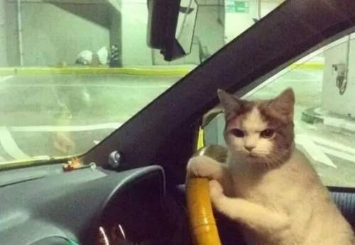 大尺度展會(huì)，提前小劇透！(圖1)